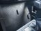2025 Toyota Tacoma 2WD SR5 Double Cab 5' Bed AT (SE)